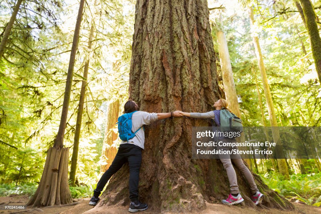 Couple hugging large tree in forest