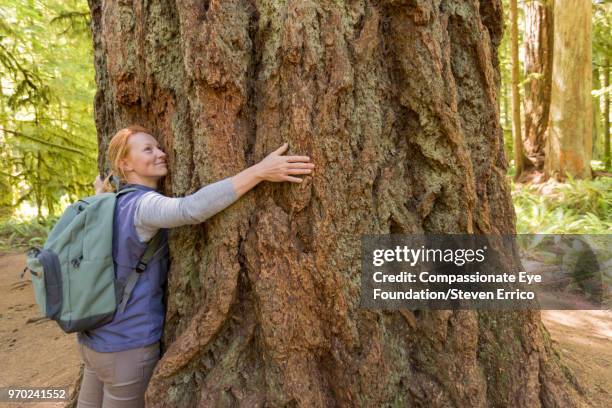 woman hugging large tree in forest - tree hugging stock pictures, royalty-free photos & images