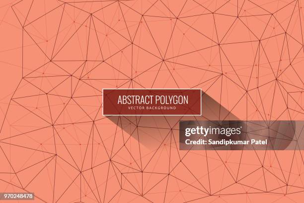 abstract mesh background with circles, lines and shapes - 3d molecule background stock illustrations