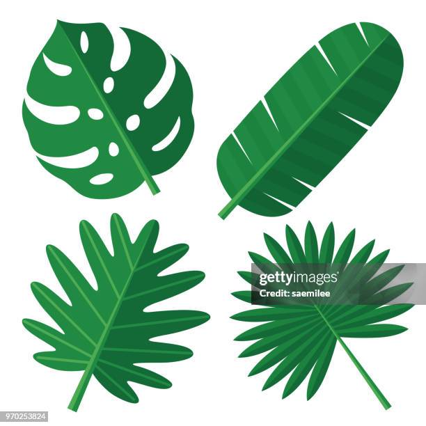 tropische blätter - tropical leaves stock-grafiken, -clipart, -cartoons und -symbole