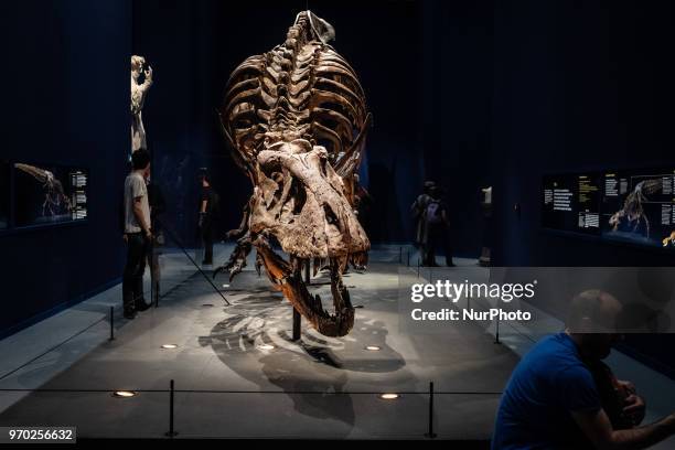 Exhibition at the National Museum of Natural History in Paris, Trix, one of the best preserved fossils of Tyrannosaurus rex on 8 June 2018 in Paris,...