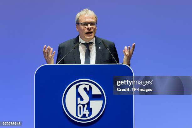 Peter Peters during the FC Schalke 04 general assembly at Veltins Arena on June 3, 2018 in Gelsenkirchen, Germany.