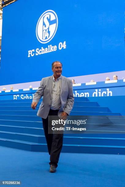 Huub Stevens during the FC Schalke 04 general assembly at Veltins Arena on June 3, 2018 in Gelsenkirchen, Germany.