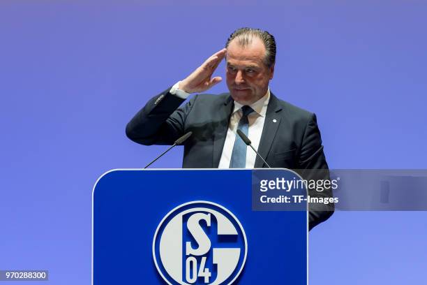 Clemens Toennies, gestures during the FC Schalke 04 general assembly at Veltins Arena on June 3, 2018 in Gelsenkirchen, Germany.