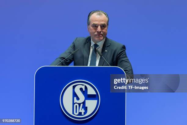 Clemens Toennies during the FC Schalke 04 general assembly at Veltins Arena on June 3, 2018 in Gelsenkirchen, Germany.