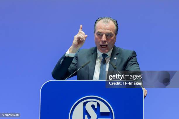 Clemens Toennies during the FC Schalke 04 general assembly at Veltins Arena on June 3, 2018 in Gelsenkirchen, Germany.