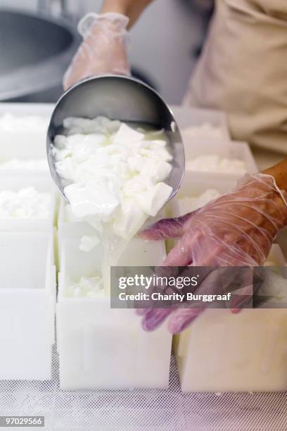 making sheep cheese - champaign illinois stock pictures, royalty-free photos & images