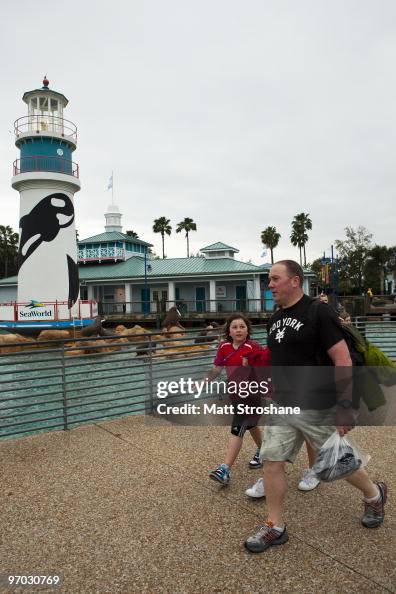 Killer Whale Kills Trainer Before Show At SeaWorld Killer Whale Kills Trainer Before Show At SeaWorld