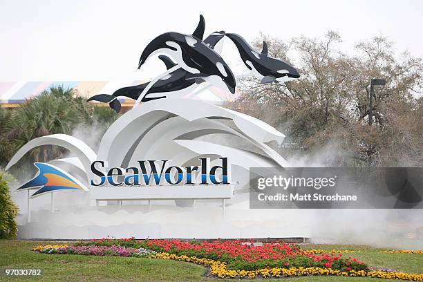 397 fotos e imágenes de Seaworld Orlando - Getty Images 397 fotos e imágenes de Seaworld Orlando - Getty Images