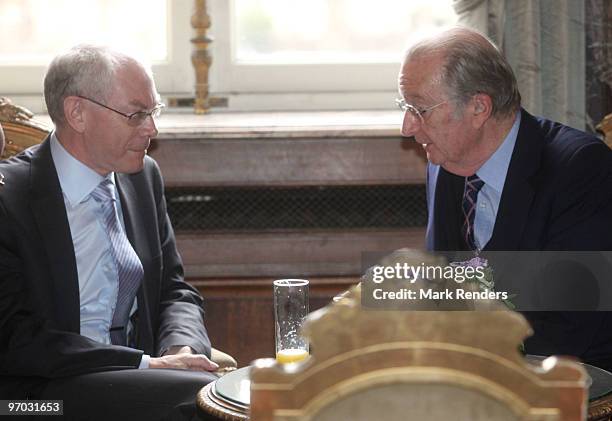 European President Herman Van Rompuy and King Albert of Belgium talk during a reception for the European Authorities at the Royal Palace on February...