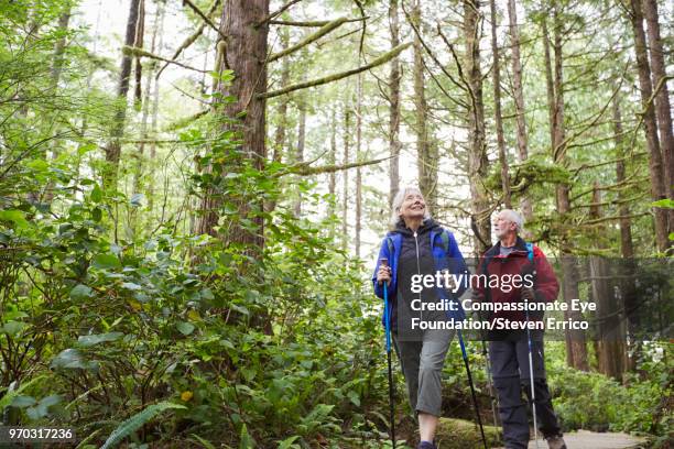 senior couple hiking along trail in forest - tofino foto e immagini stock