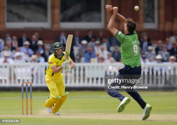 Tim Paine of Australia and Steven Finn of Middlesex during the One Day Tour match between Middlesex and Australia at Lord's Cricket Ground on June 9,...