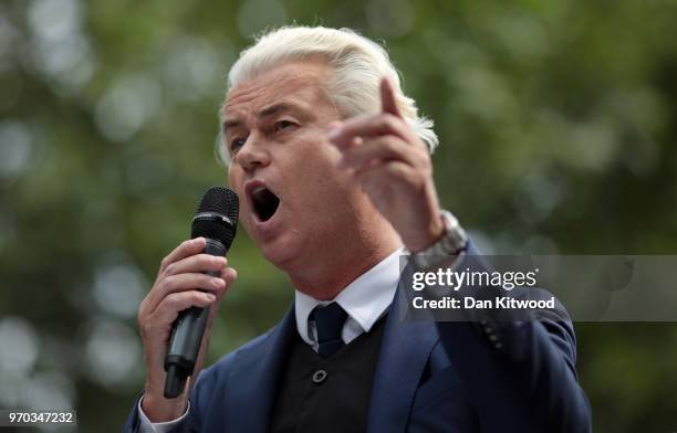 Dutch Leader of the Opposition Geert Wilders of nationalist Party for Freedom speaks during a 'Free Tommy Robinson' Protest on Whitehall on June 9,...