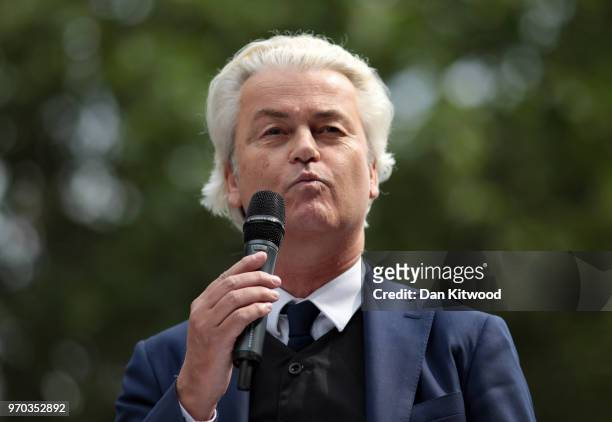 Dutch Leader of the Opposition Geert Wilders of nationalist Party for Freedom speaks during a 'Free Tommy Robinson' Protest on Whitehall on June 9,...