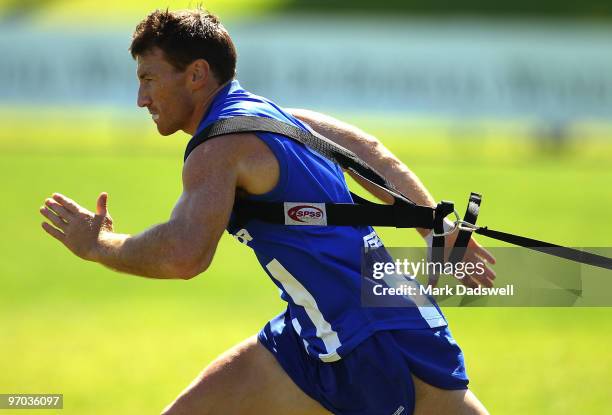 Brent Harvey of the Kangaroos drags weights attached to a vest during a North Melbourne Kangaroos AFL training session at Arden Street Ground on...