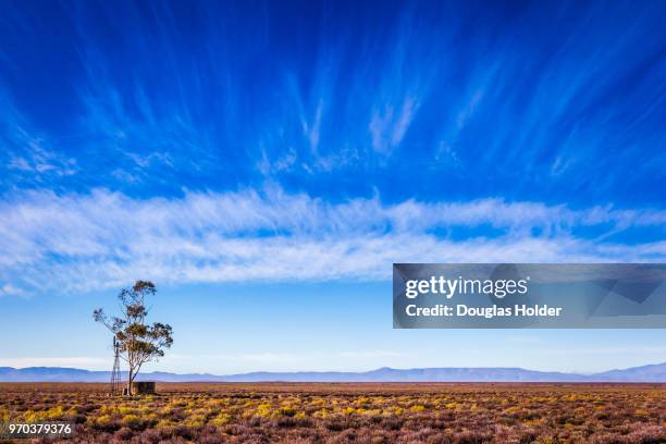 a wind pump and water tank on a farm on the r356 to sutherland. this is the succulent karoo, a very dry and arid and very scenic part of south africa, but most of the plants here are succulents so as to survive in the extreme climate. western cape, south - karoo stock pictures, royalty-free photos & images