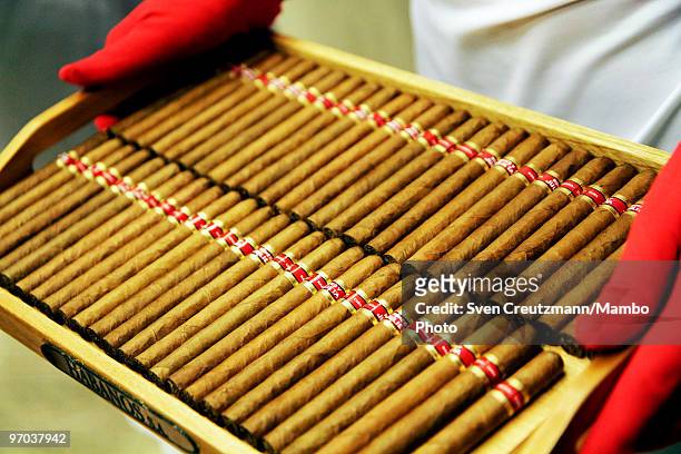 Model hands out the new "Julieta" cigar to guests on February 24 in Havana, Cuba. In response to cigar sales lagging, Cuba is trying to interest...