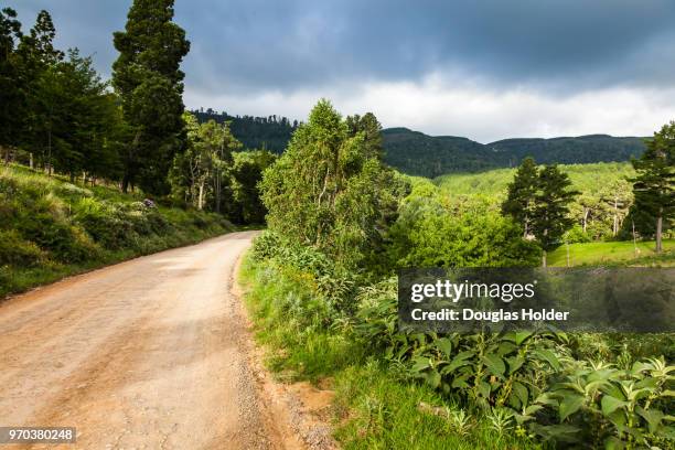 the small town of hogsback is situated in the hills of the eastern cape and is a popular destination for hiking, fishing and relaxing. - hogsback stock pictures, royalty-free photos & images