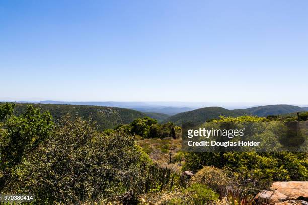 the rolling hills and bush near the fish river valley, which is very close to grahamstown, south africa. - grahamstown stock pictures, royalty-free photos & images