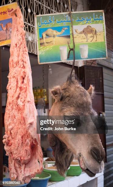 camel meat in the souk, fez - camel meat stock pictures, royalty-free photos & images