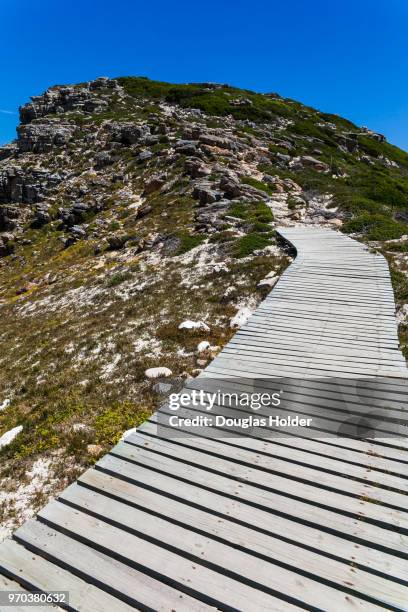 the cape point national park has many walkways and hiking areas, with beautiful views of the atlantic ocean and unique flora and fauna and wildlife. cape point, south africa. - south atlantic ocean stock pictures, royalty-free photos & images