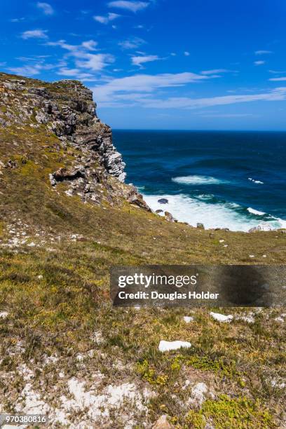 the cape point national park has many walkways and hiking areas, with beautiful views of the atlantic ocean and unique flora and fauna and wildlife. cape point, south africa. - south atlantic ocean stock pictures, royalty-free photos & images