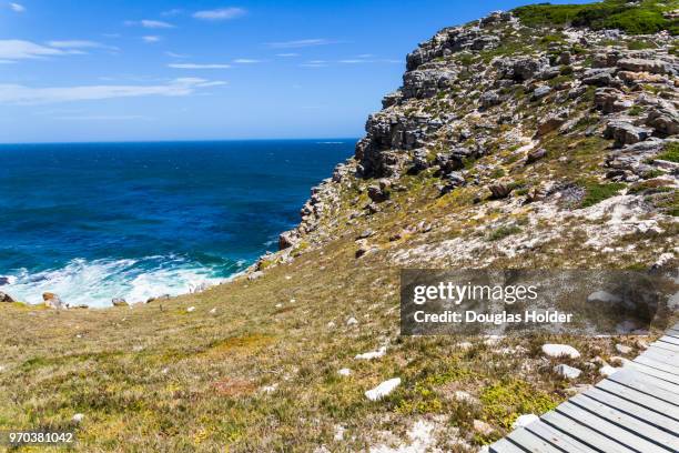 the cape point national park has many walkways and hiking areas, with beautiful views of the atlantic ocean and unique flora and fauna and wildlife. cape point, south africa. - south atlantic ocean stock pictures, royalty-free photos & images