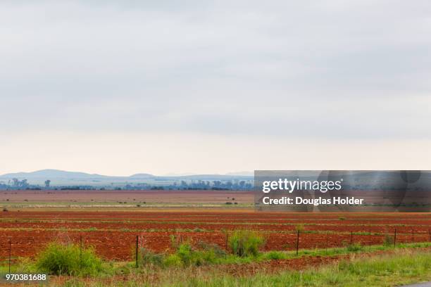 the flat landscape and very red soil farmlands of the free state, very near to parys, south africa, - solo vermelho - fotografias e filmes do acervo