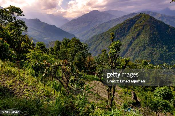 pelling, sikkim, india - ravangla stock pictures, royalty-free photos & images