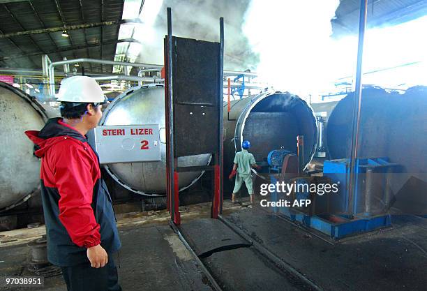 In this photograph taken February 19, 2010 workers process palm oil fruits at a plant in Kotawaringin Barat, Central Kalimantan. The oil seed is...