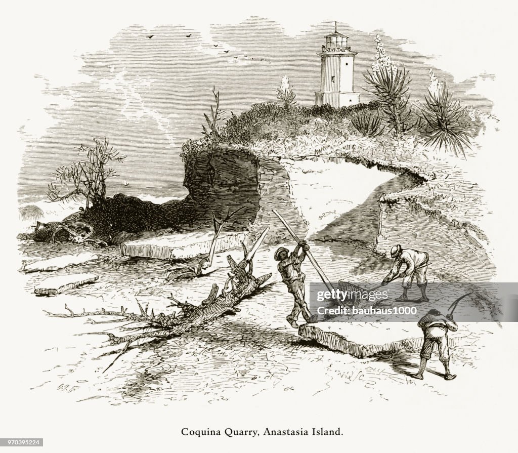 Coquina Quarry, Anastasia Island, St. Augustine, Florida, United States, American Victorian Engraving, 1872
