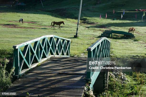 india.  kashmir. gulmarg (literally meadow of flowers) with horses grazing in a meadow, and wooden bridge over a stream. - baramulla district stock pictures, royalty-free photos & images