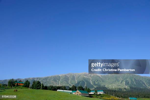india.  kashmir. gulmarg (literally meadow of flowers) with a horse grazing in a meadow, with few houses and mountain behind. - baramulla district stock pictures, royalty-free photos & images