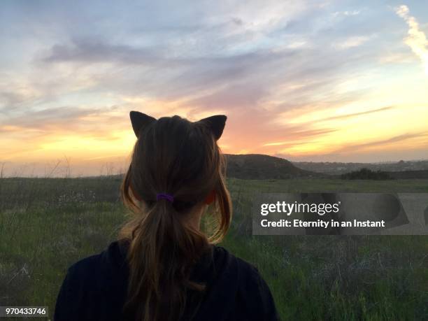 rear view young girl wearing cat ears - cat ears headband stock pictures, royalty-free photos & images