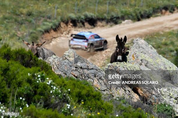Picture taken on June 9, 2018 shows a donkey, mascot of Sardinia, while British driver Elfyn Evans and compatriot co-driver Daniel Barritt steer...