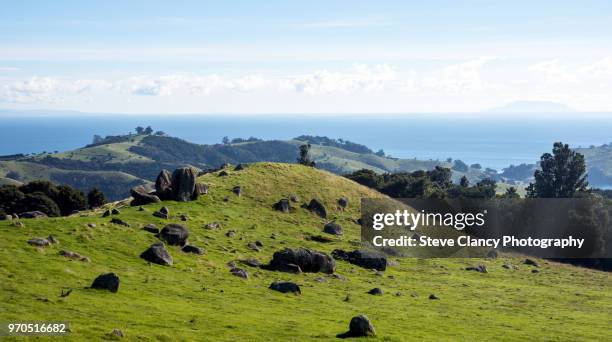 waiheke island - waiheke island stock pictures, royalty-free photos & images