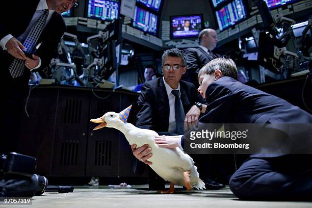 The Aflac Duck walks on the floor of the New York Stock Exchange in New York, U.S., on Thursday, Feb. 25, 2010. Aflac Inc., the world's largest...