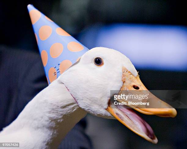 The Aflac Duck wears a birthday hat on the floor of the New York Stock Exchange in New York, U.S., on Thursday, Feb. 25, 2010. Aflac Inc., the...