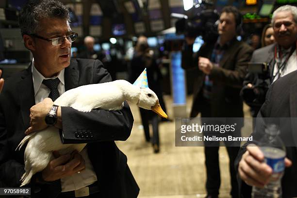 The Aflac Duck is walked through the trading floor during the closing bell at the New York Stock Exchange on February 25, 2010 in New York City.
