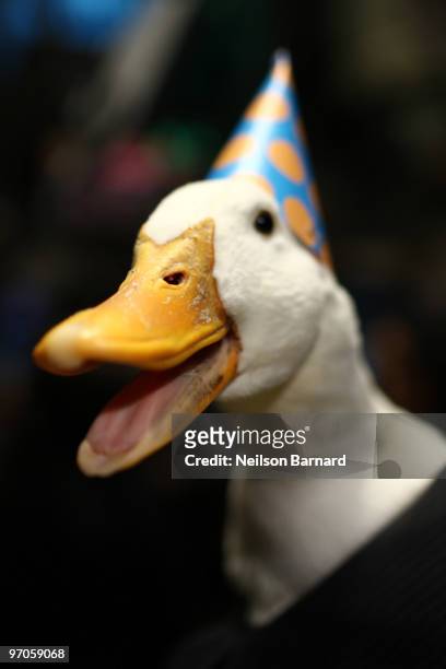 The Aflac Duck rings the closing bell at the New York Stock Exchange on February 25, 2010 in New York City.