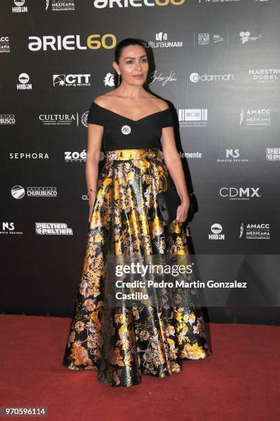 Mexican actress Dolores Heredia poses during the Red Carpet of 60th Ariel Awards at Palacio de Bellas Artes on June 5, 2018 in Mexico City, Mexico.