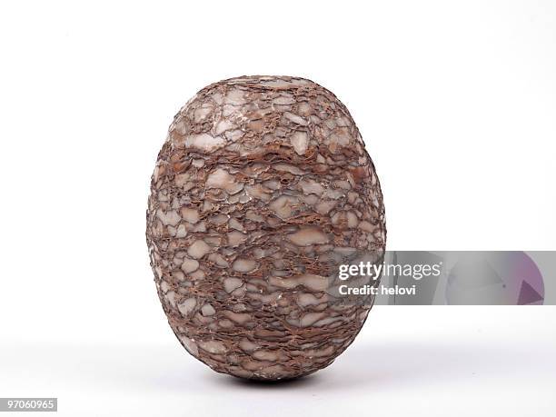 fossilized egg - scarce stock pictures, royalty-free photos & images