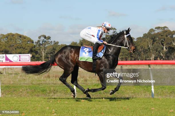 Fratello ridden by Ben E Thompson goes out for the Naracoorte Hotel Maiden Plate at Edenhope Racecourse on June 10, 2018 in Edenhope, Australia.