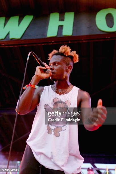 Tobi lou performs on Who Stage during day 3 of the 2018 Bonnaroo Arts And Music Festival on June 9, 2018 in Manchester, Tennessee.