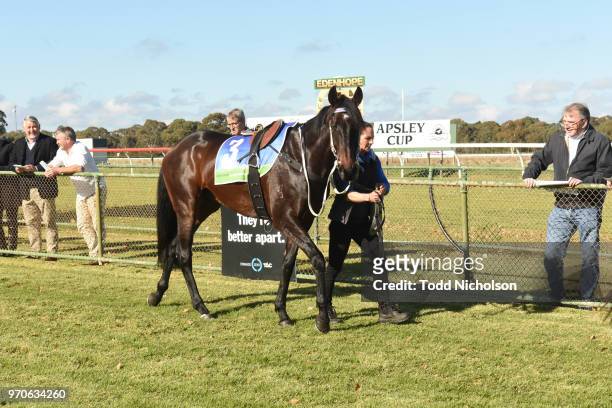 Fratello parades before the Naracoorte Hotel Maiden Plate at Edenhope Racecourse on June 10, 2018 in Edenhope, Australia.