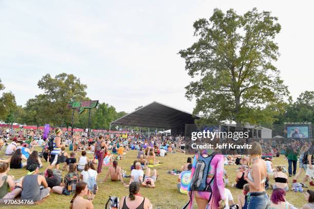 Festivalgoers watch RagnBone Man perform onstage at This Tent during day 3 of the 2018 Bonnaroo Arts And Music Festival on June 9, 2018 in...