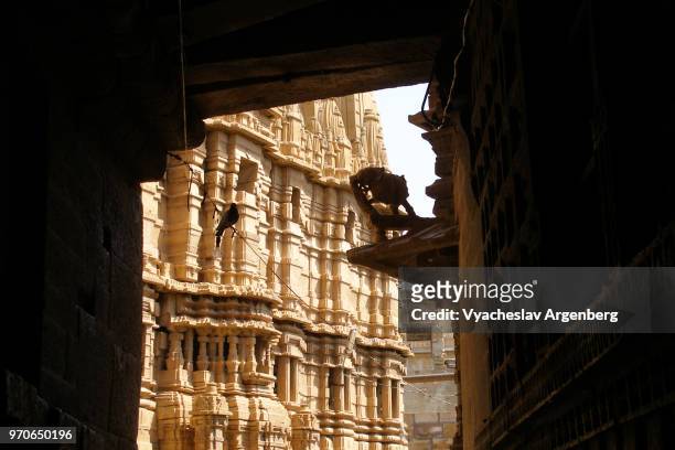 the walls of jain temple in jaisalmer fort, rajasthan, india - haveli stock pictures, royalty-free photos & images