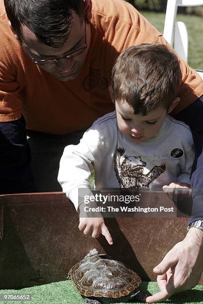 29 William Paca Stock Photos, HighRes Pictures, and Images Getty Images