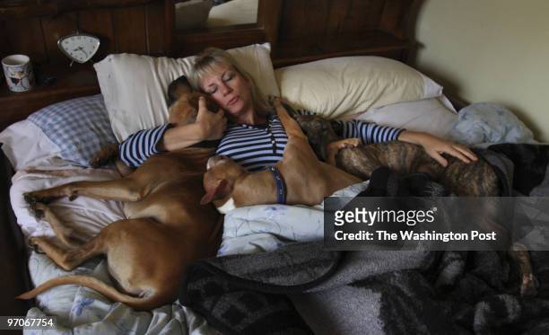 VickDogLEO40 DATE: April 3, 2008 CREDIT: Carol Guzy/ The Washington Post Los Gatos CA VICK DOGS a year later. Marthina McClay is founder of Our Pack,...