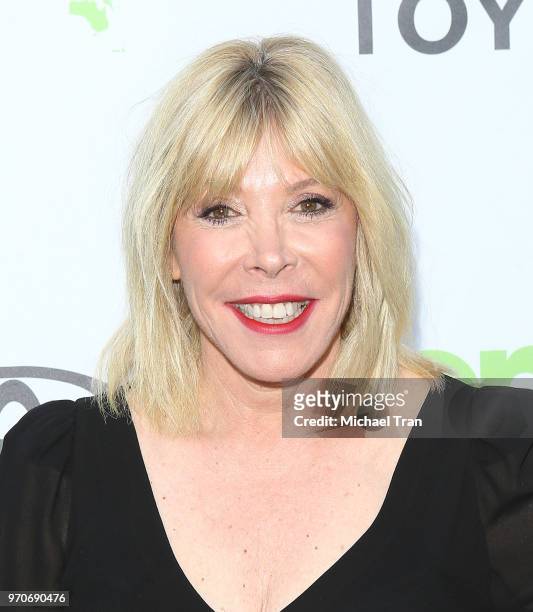 Debbie Levin attends the 1st Annual Environmental Media Association Honors Benefit Gala held on June 9, 2018 in Los Angeles, California.
